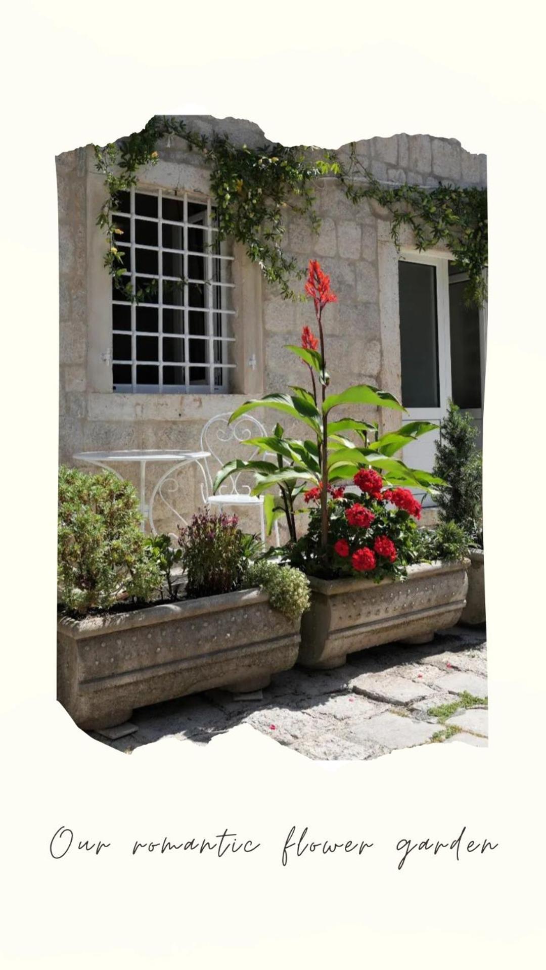 Apartments Visit Perast Exterior photo
