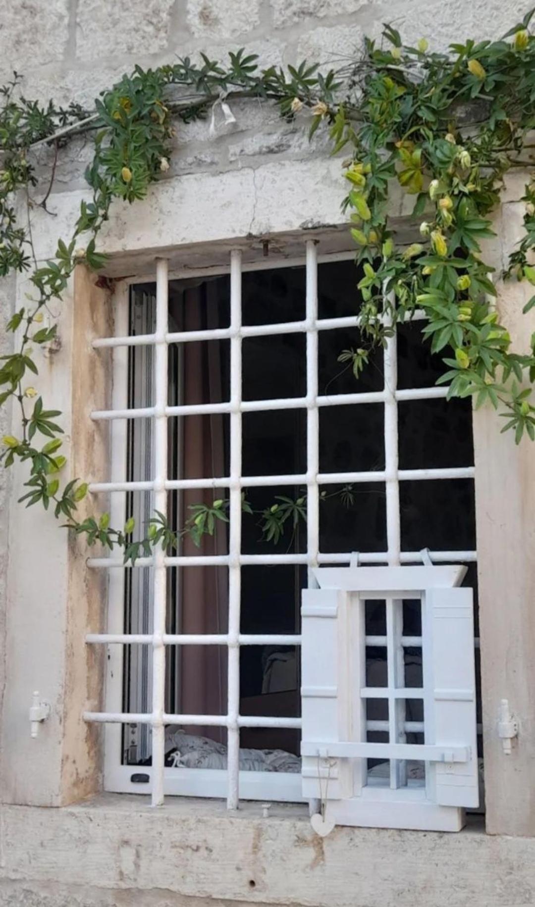 Apartments Visit Perast Exterior photo